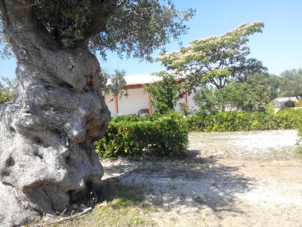 Agriturismo Villa Tommaso Torre dell'Orso Buitenkant foto